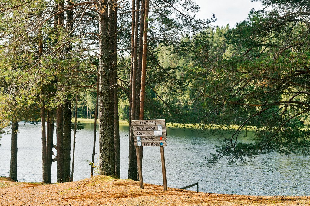 Långvattnets naturreservat